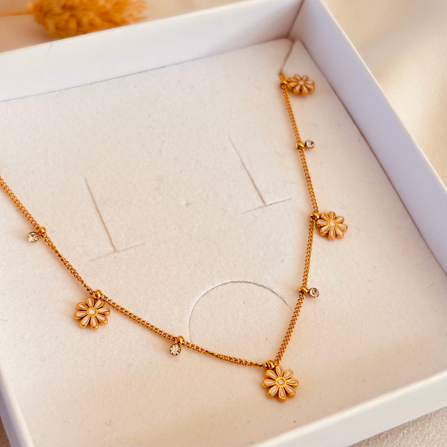 Collier Cory