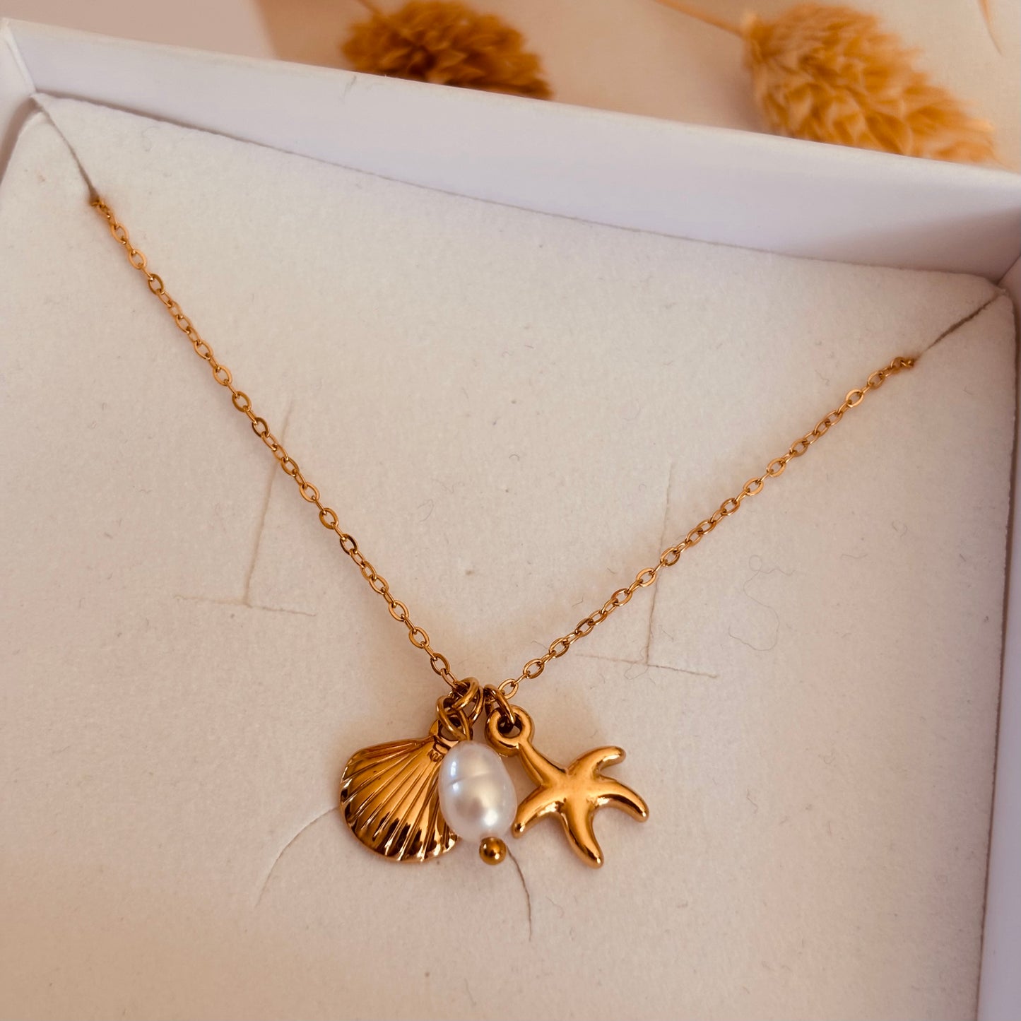 Collier Noa