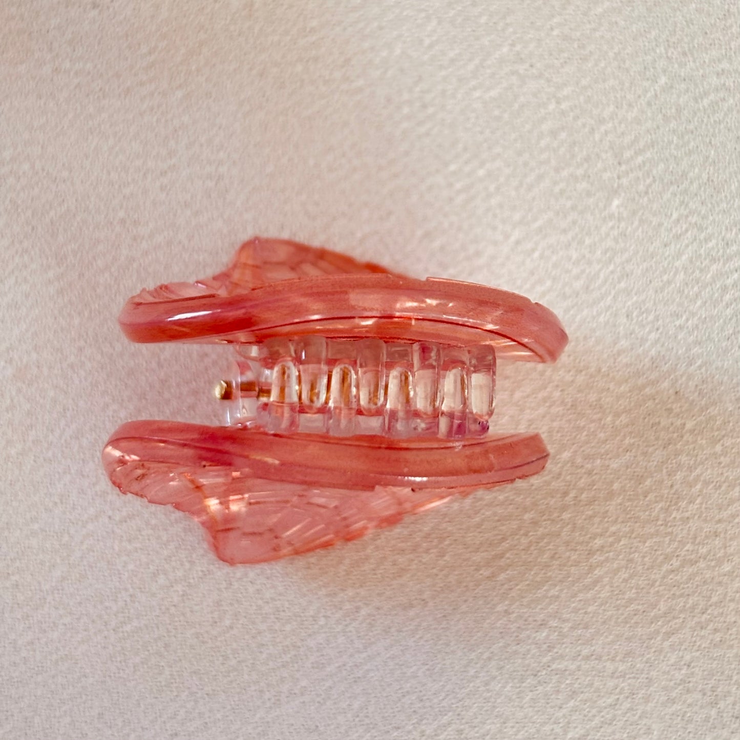 Pince mini coquillage